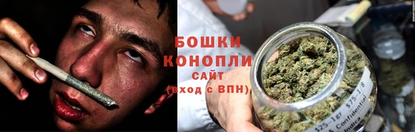 ПСИЛОЦИБИНОВЫЕ ГРИБЫ Елабуга