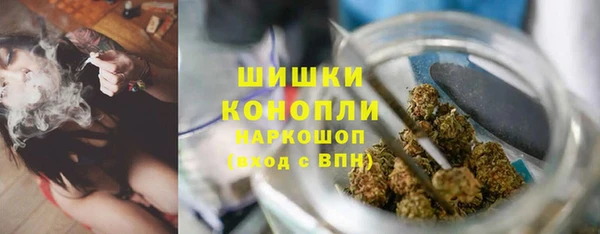 ПСИЛОЦИБИНОВЫЕ ГРИБЫ Елабуга