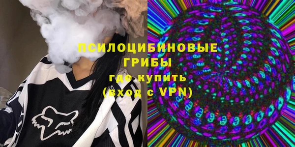 apvp Ельня