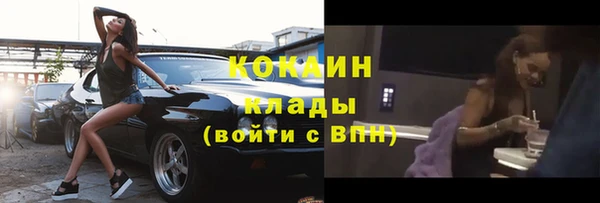 ПСИЛОЦИБИНОВЫЕ ГРИБЫ Елабуга