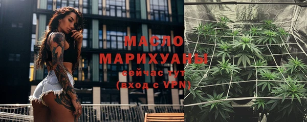 apvp Ельня