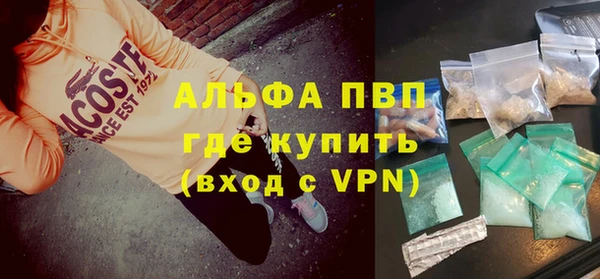 apvp Ельня