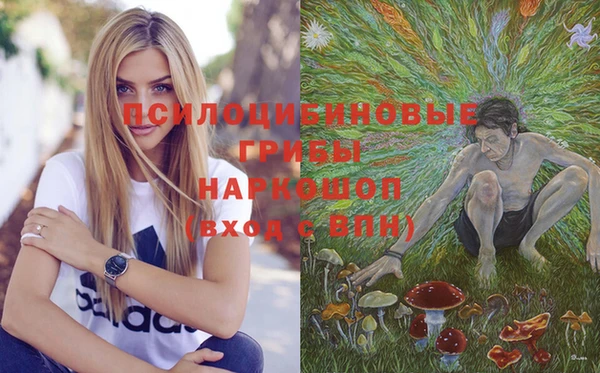 apvp Ельня