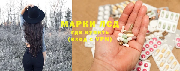 apvp Ельня