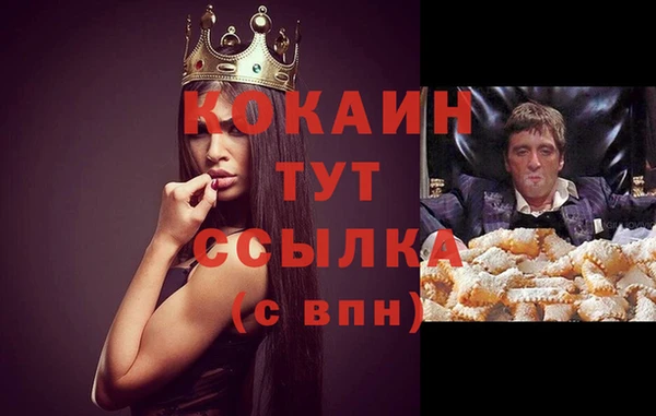 твердый Елизово