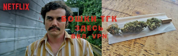 apvp Ельня
