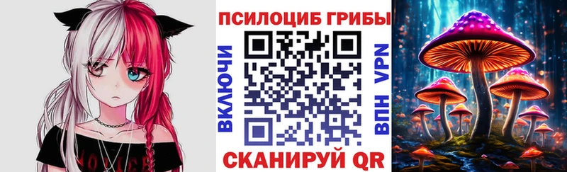 hydra ONION  Ковров  Галлюциногенные грибы Cubensis 